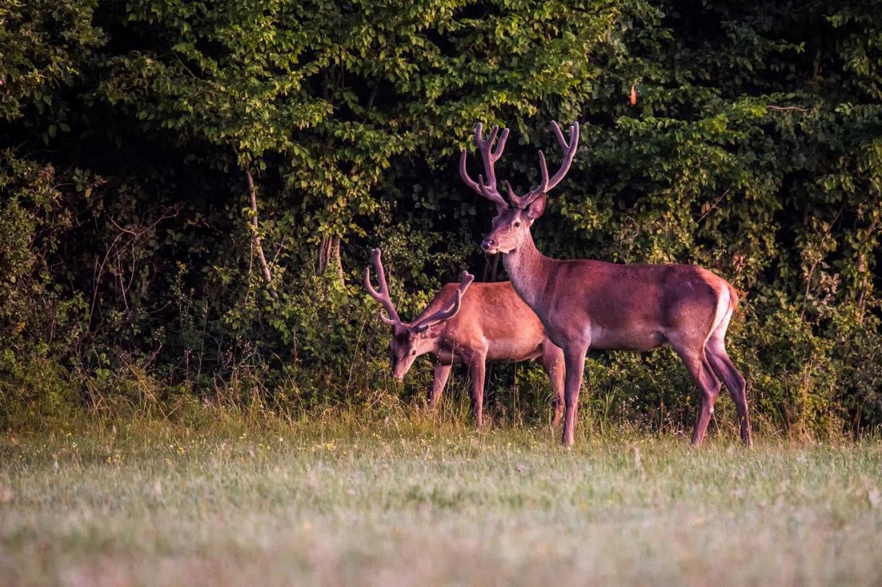 Naturpark Vendégház Alsoszolnok Exterior foto